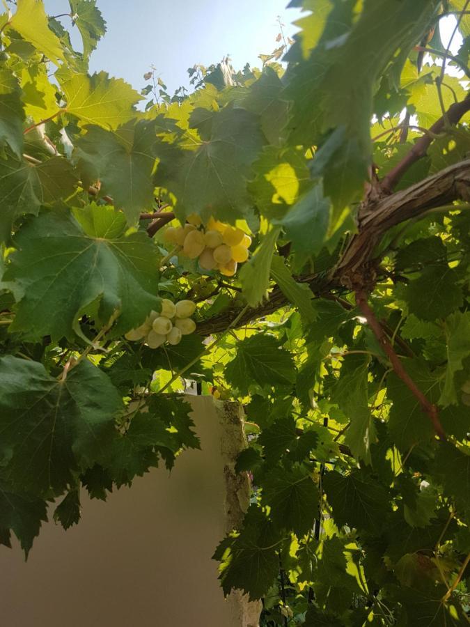 Apartment 22 Omiš Εξωτερικό φωτογραφία